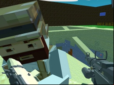 Pixel Arena Game FPS