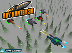 Sky Hunter 3D