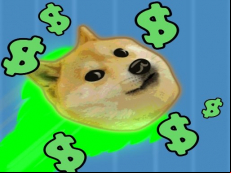 Yolo Dogecoin 
